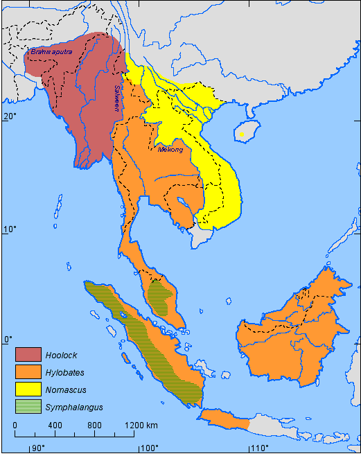 Distribution map of the four gibbon genera