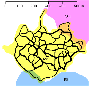 Siamang (Symphalangus syndactylus): Territory and main arboreal pathways