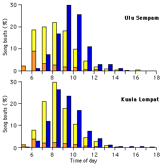 Siamang (S. syndactylus) and lar gibbon (H. lar): Daily pattern of calling