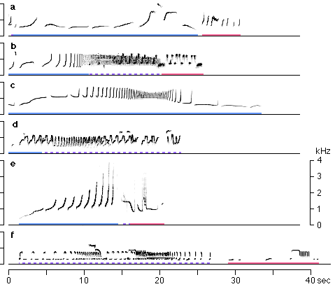 Sonagrams of typical great call sequences of six gibbon species
