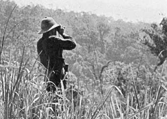 Clarence R. Carpenter observing wild gibbons in Chiengmai