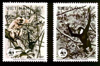 WWF-Briefmarken aus Vietnam (1987) für den Schutz der Weisswangen-Schopfgibbons