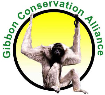 Logo Gibbon Conservation Alliance