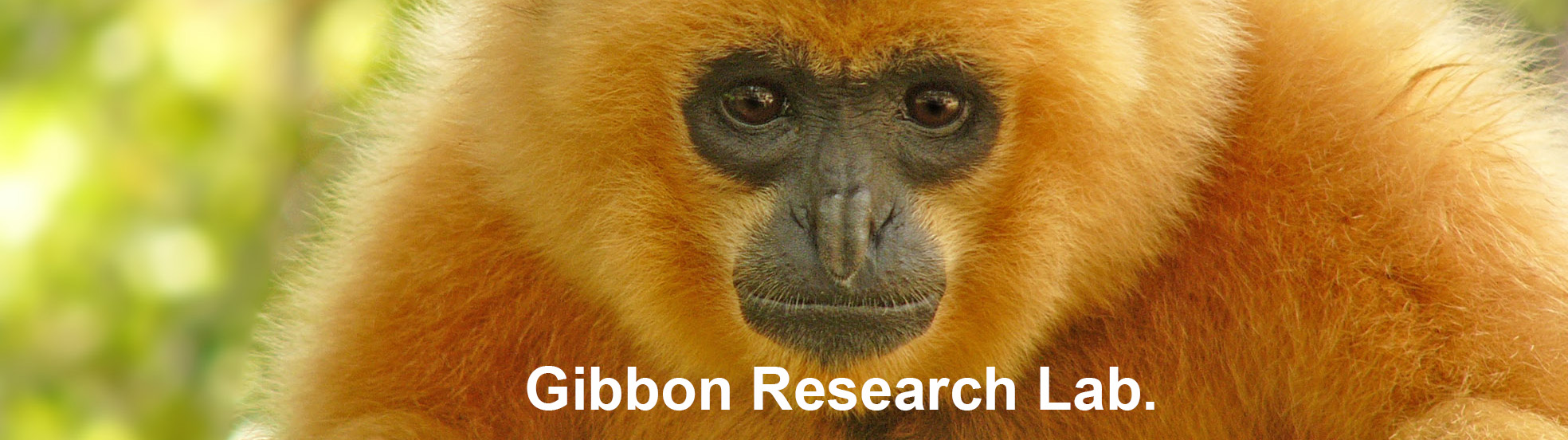 Banner Gibbon Research Lab.