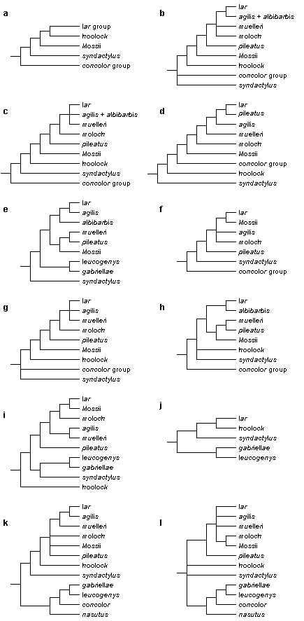 Hylobatidae: Various phylogenetic trees