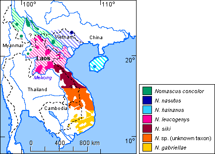 Distribution of the species of the genus Nomascus