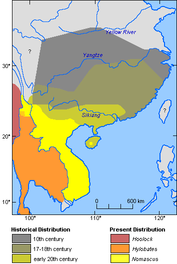 Historical distribution of gibbons in China and adjacent regions