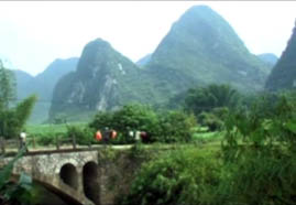 Video still: Cao vit gibbon census