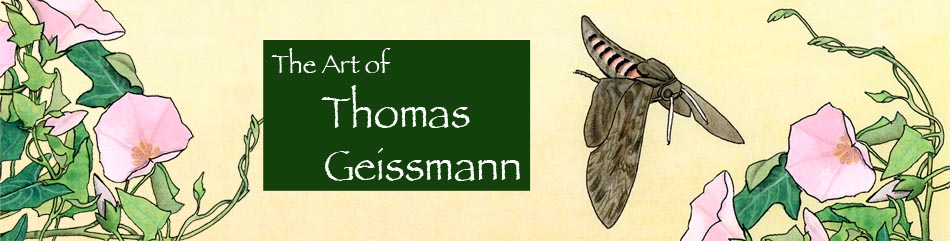 The Art of Thomas Geissmann
