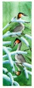 Crested Grebes