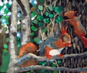 Red Squirrels (unfinished)