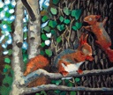 Red Squirrels (unfinished)