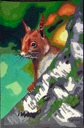 Red Squirrel