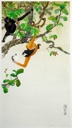 Cao-vit gibbon (Nomascus nasutus)
