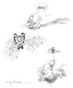 Birds