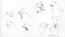 Bear model sheet